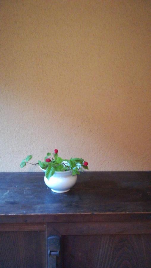 旧鈴木邸 女性専用 Apartment Matsuyama  Bagian luar foto